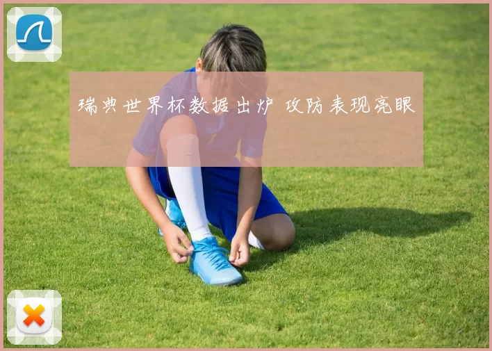 瑞典世界杯数据出炉 攻防表现亮眼