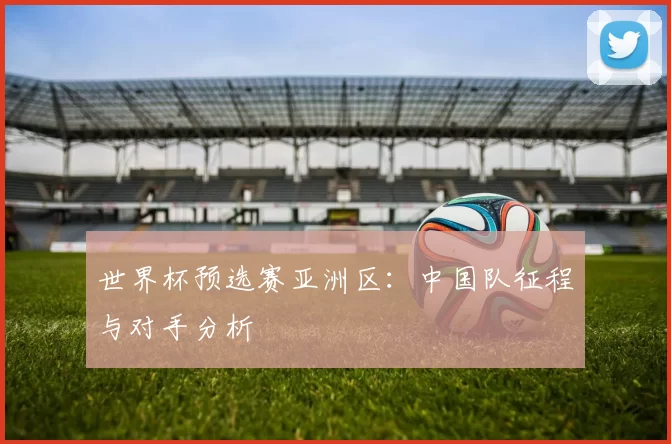 世界杯预选赛亚洲区：中国队征程与对手分析