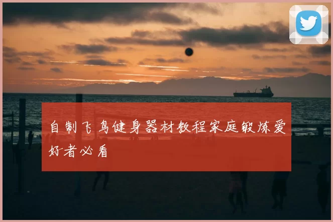 自制飞鸟健身器材教程家庭锻炼爱好者必看