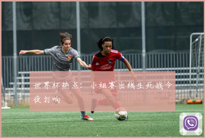 世界杯热点：小组赛出线生死战今夜打响