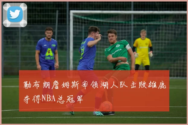 勒布朗詹姆斯率领湖人队击败雄鹿夺得NBA总冠军