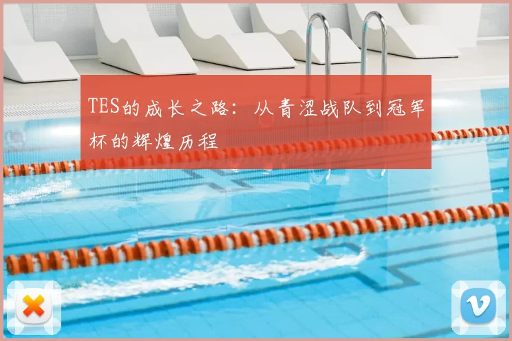 TES的成长之路:从青涩战队到冠军杯的辉煌历程