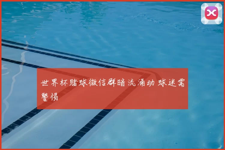 世界杯赌球微信群暗流涌动 球迷需警惕
