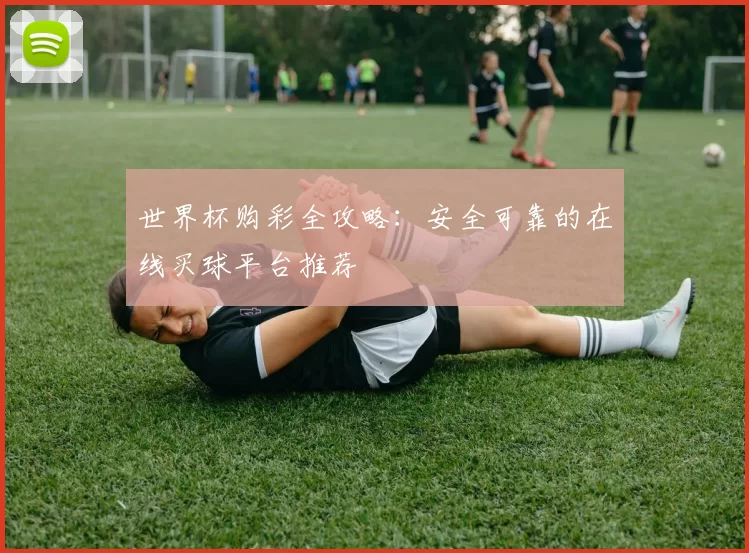 世界杯购彩全攻略:安全可靠的在线买球平台推荐