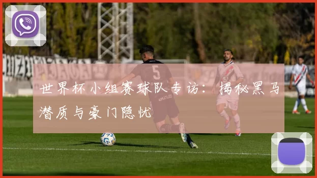 世界杯小组赛球队专访：揭秘黑马潜质与豪门隐忧