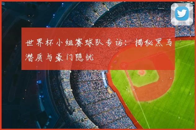 世界杯小组赛球队专访:揭秘黑马潜质与豪门隐忧