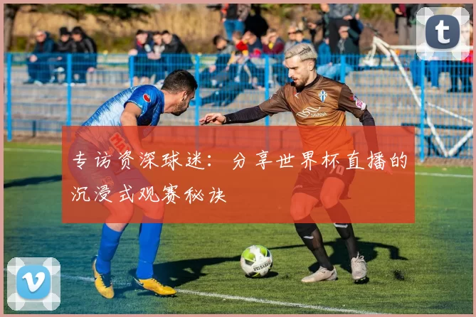 专访资深球迷：分享世界杯直播的沉浸式观赛秘诀