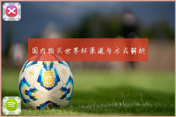 国内购买世界杯渠道与方式解析