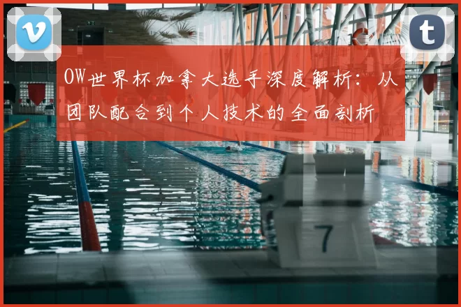 OW世界杯加拿大选手深度解析：从团队配合到个人技术的全面剖析