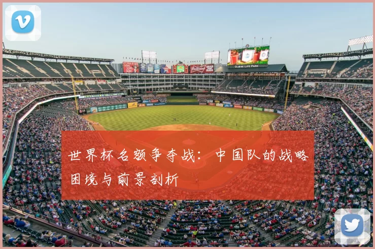 世界杯名额争夺战：中国队的战略困境与前景剖析