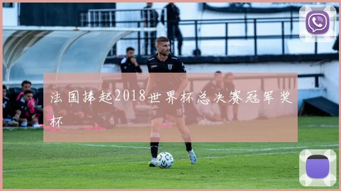 法国捧起2018世界杯总决赛冠军奖杯