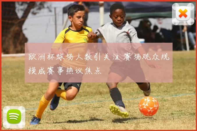 欧洲杯球场人数引关注 赛场观众规模成赛事热议焦点