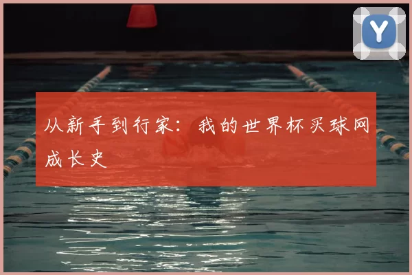 从新手到行家：我的世界杯买球网成长史