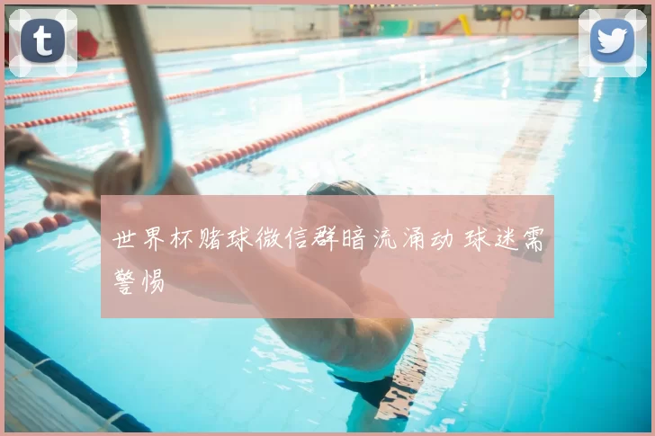 世界杯赌球微信群暗流涌动 球迷需警惕